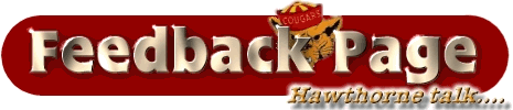 Feedback